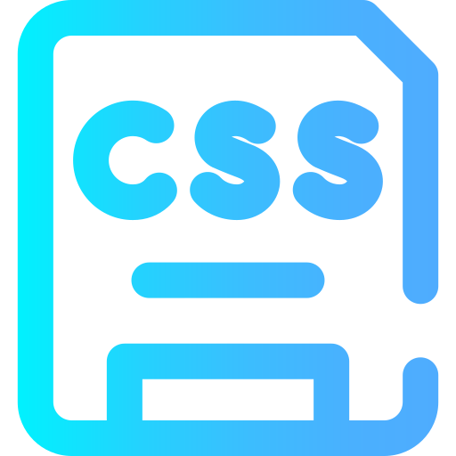 CSS